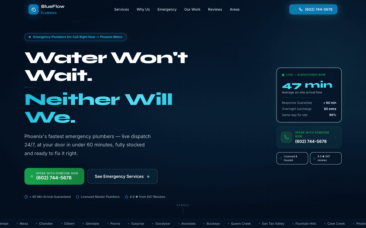 BlueFlow Plumbing website screenshot